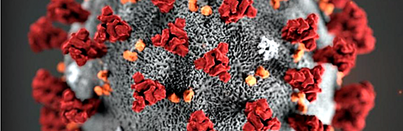 Ilustracja przedstawia kolorowy rusynek koronawirusa