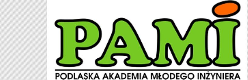 Logo PAMI