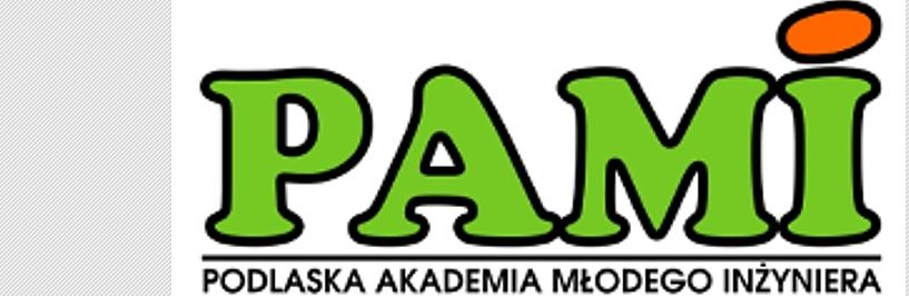 Logo PAMI