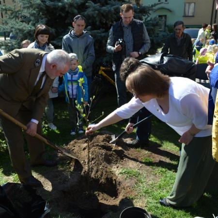 Посмотреть крупнее