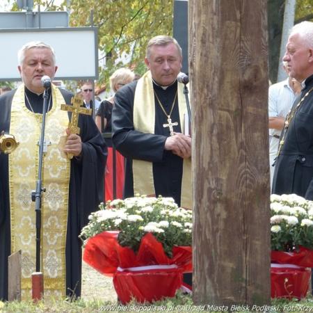 Посмотреть крупнее