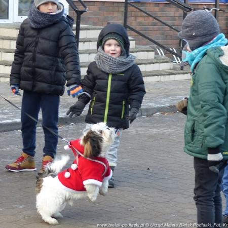 Посмотреть крупнее