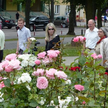 Посмотреть крупнее