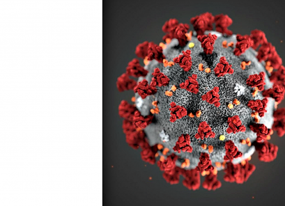 ilustracja przedstawia kolorowy rysunek koronawirusa