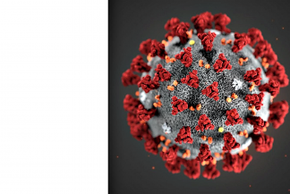 Ilustracja przedstawia kolorowy rusynek koronawirusa