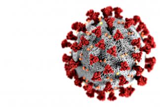 Ilustracja przedstawia kolorowy rysunek koronawirusa