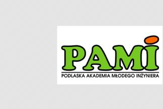 Logo PAMI